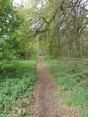 Beside the Road