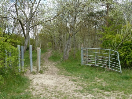 Avenue Woods