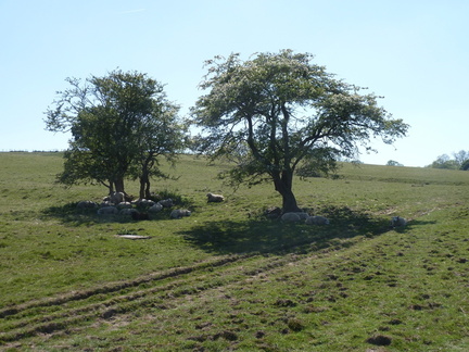 A Sunny Afternoon