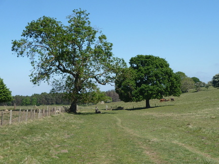 The Dales Way
